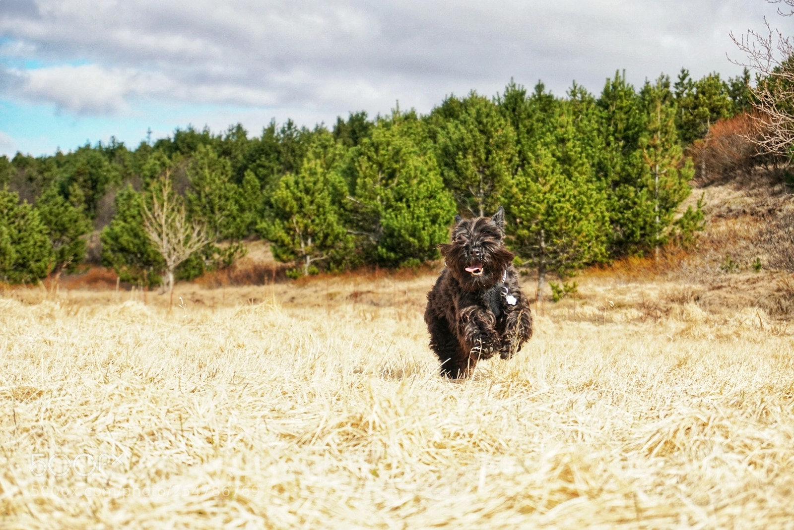 Sony a6500 sample photo. Running happy photography