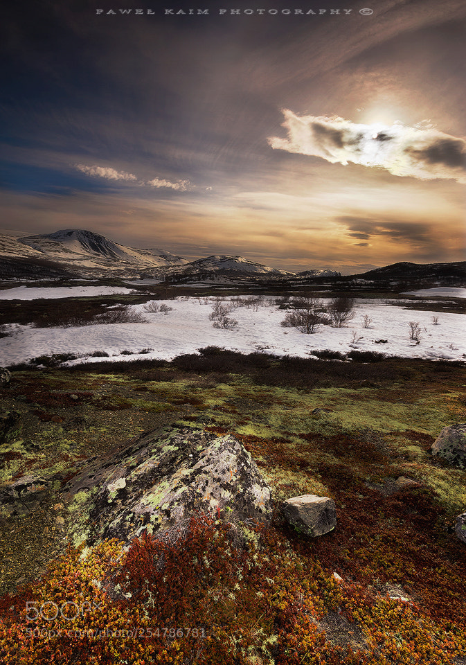 Nikon D5500 sample photo. Dovre photography