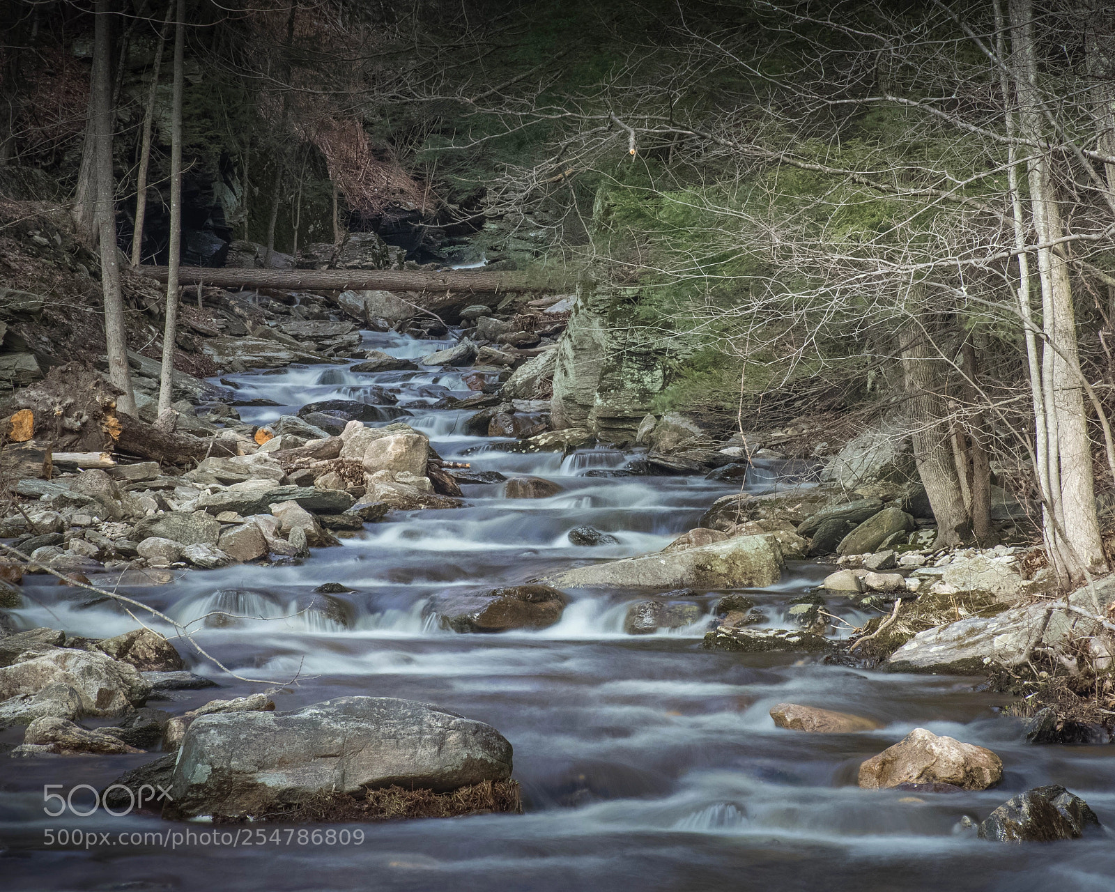 Nikon D7500 sample photo. Roaring brook photography