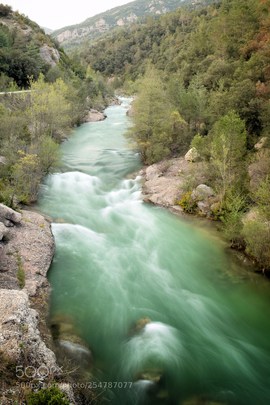 Nikon D5300 sample photo. Pedret river photography