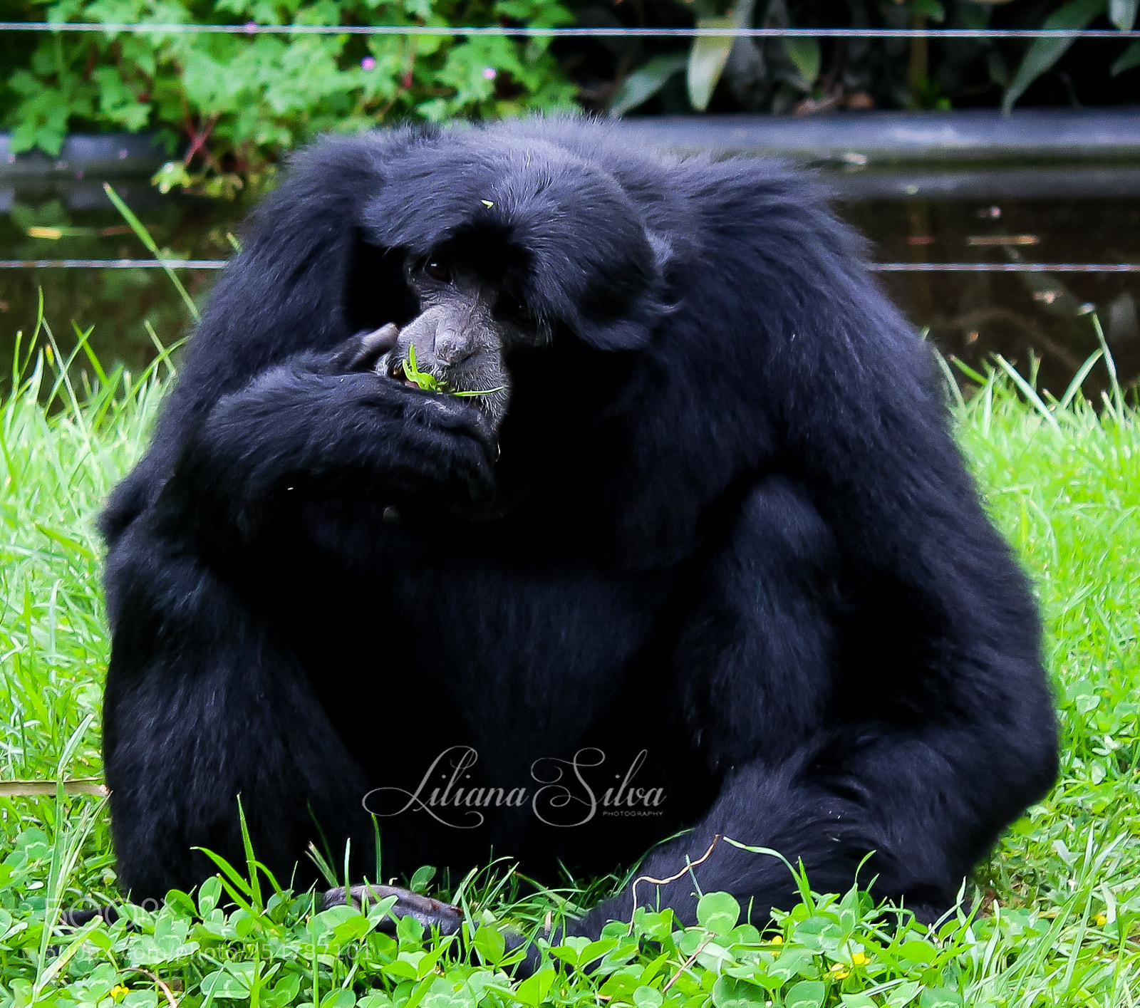 Canon EOS 1200D (EOS Rebel T5 / EOS Kiss X70 / EOS Hi) sample photo. Untitled photography