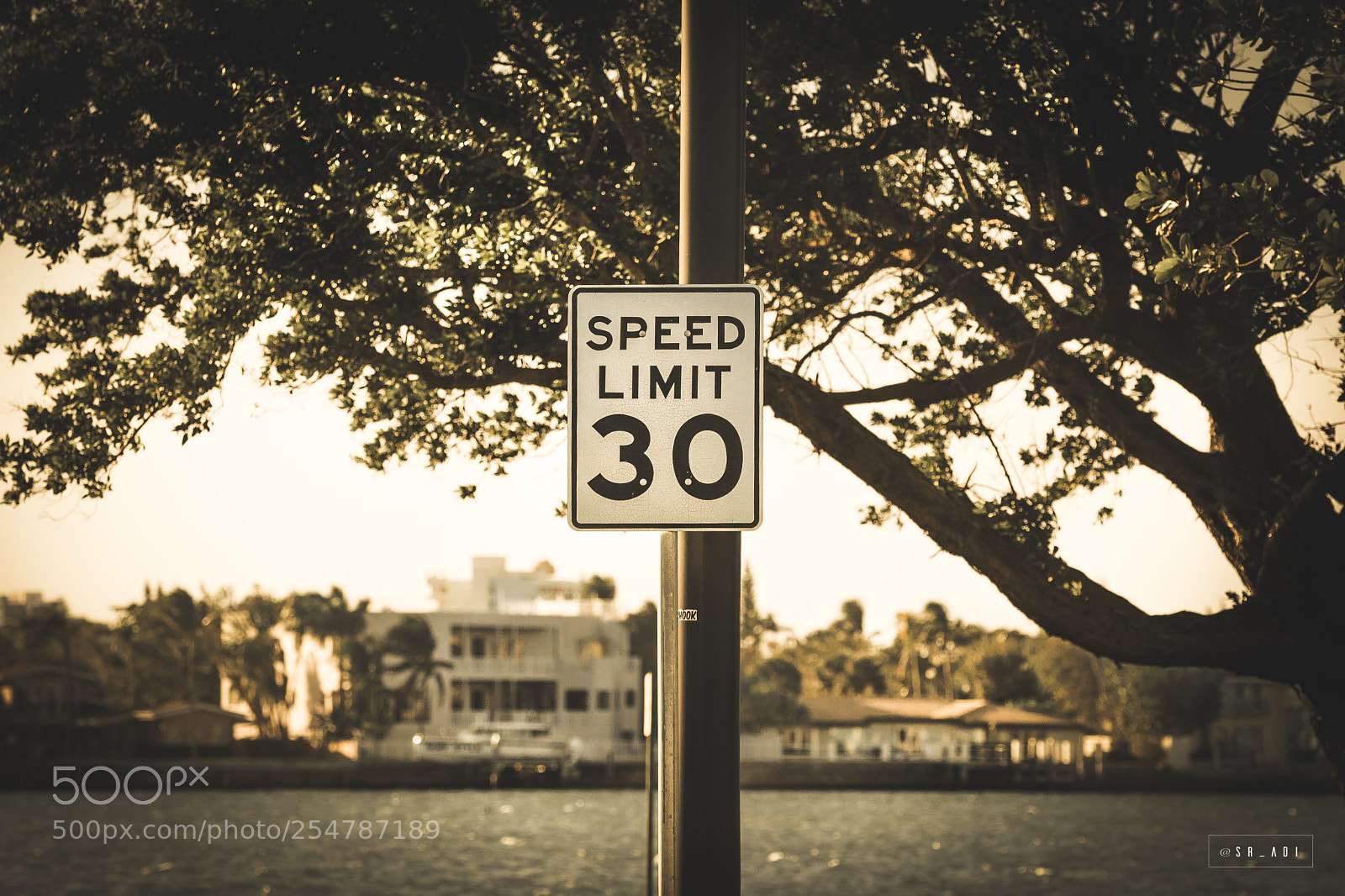 Nikon D5300 sample photo. Miami vibes photography