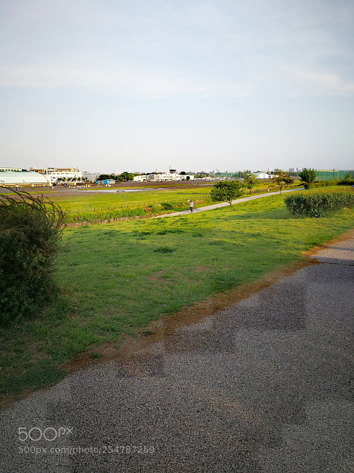 HUAWEI Mate 9 sample photo. 調布飛行場 photography