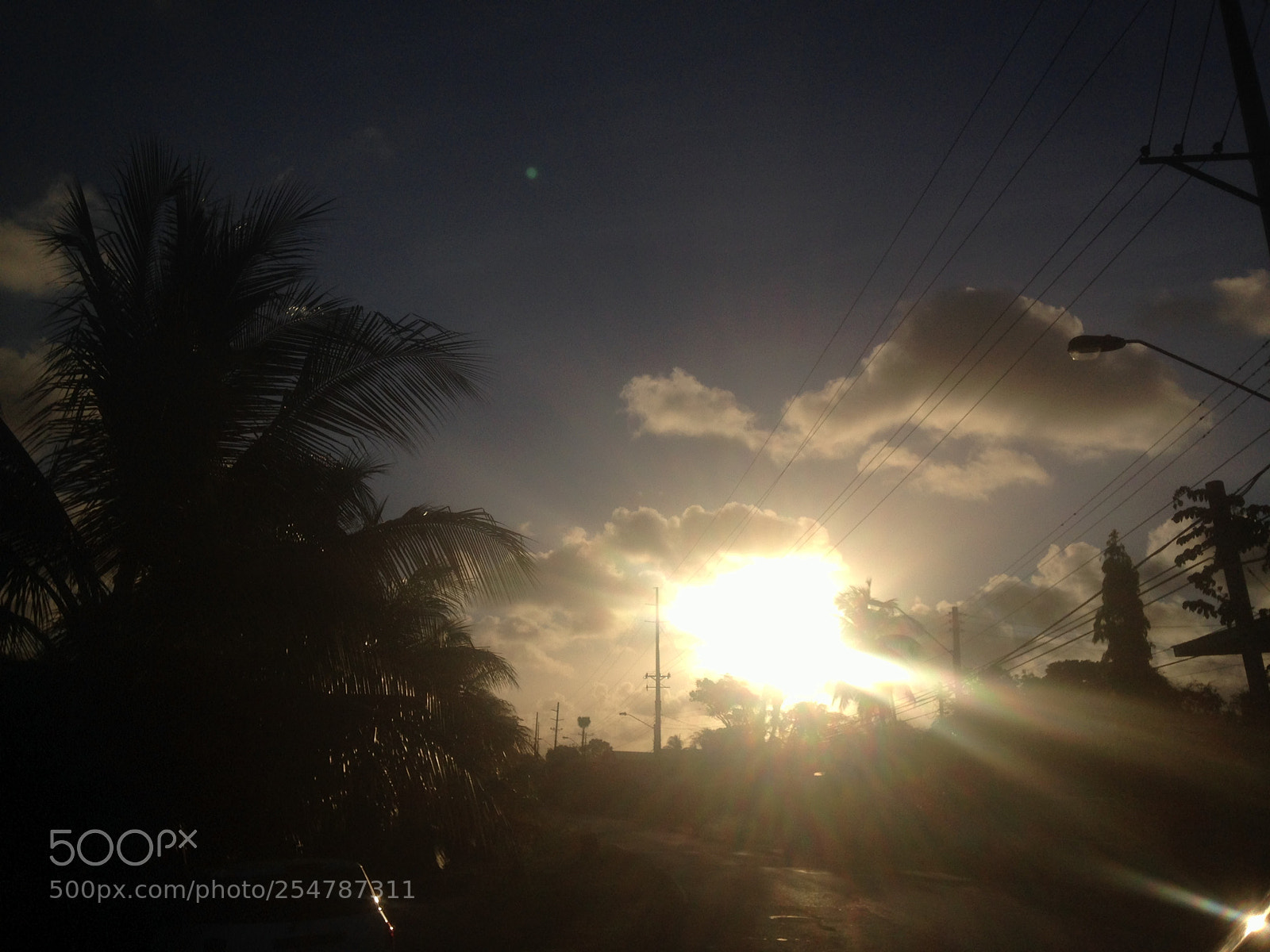 Apple iPhone 5c sample photo. Untitled photography