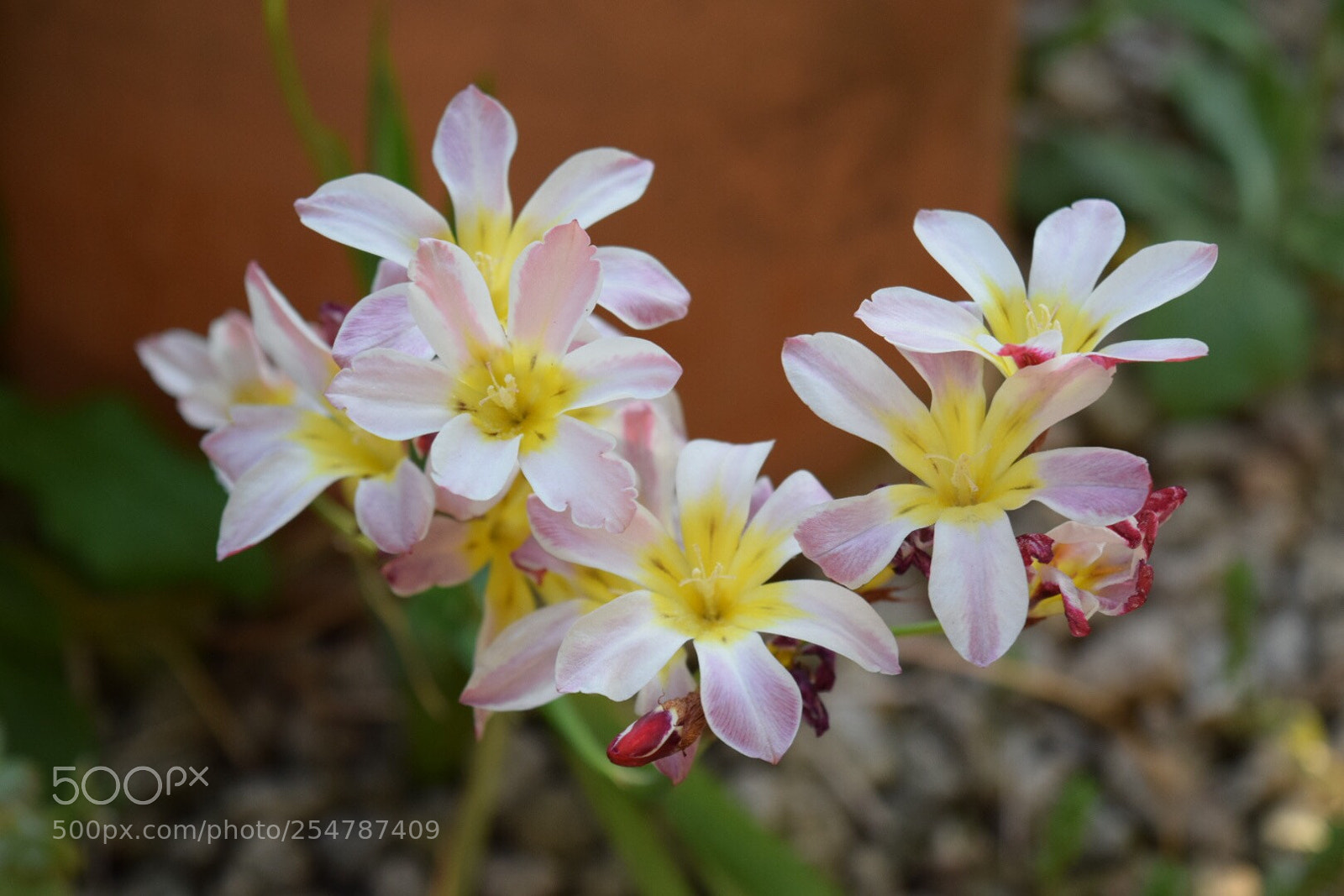 Nikon D5300 sample photo. Untitled photography