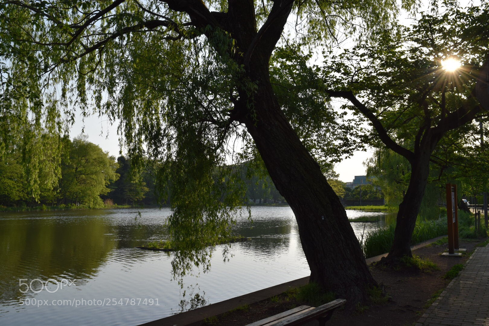 Nikon D5300 sample photo. Untitled photography