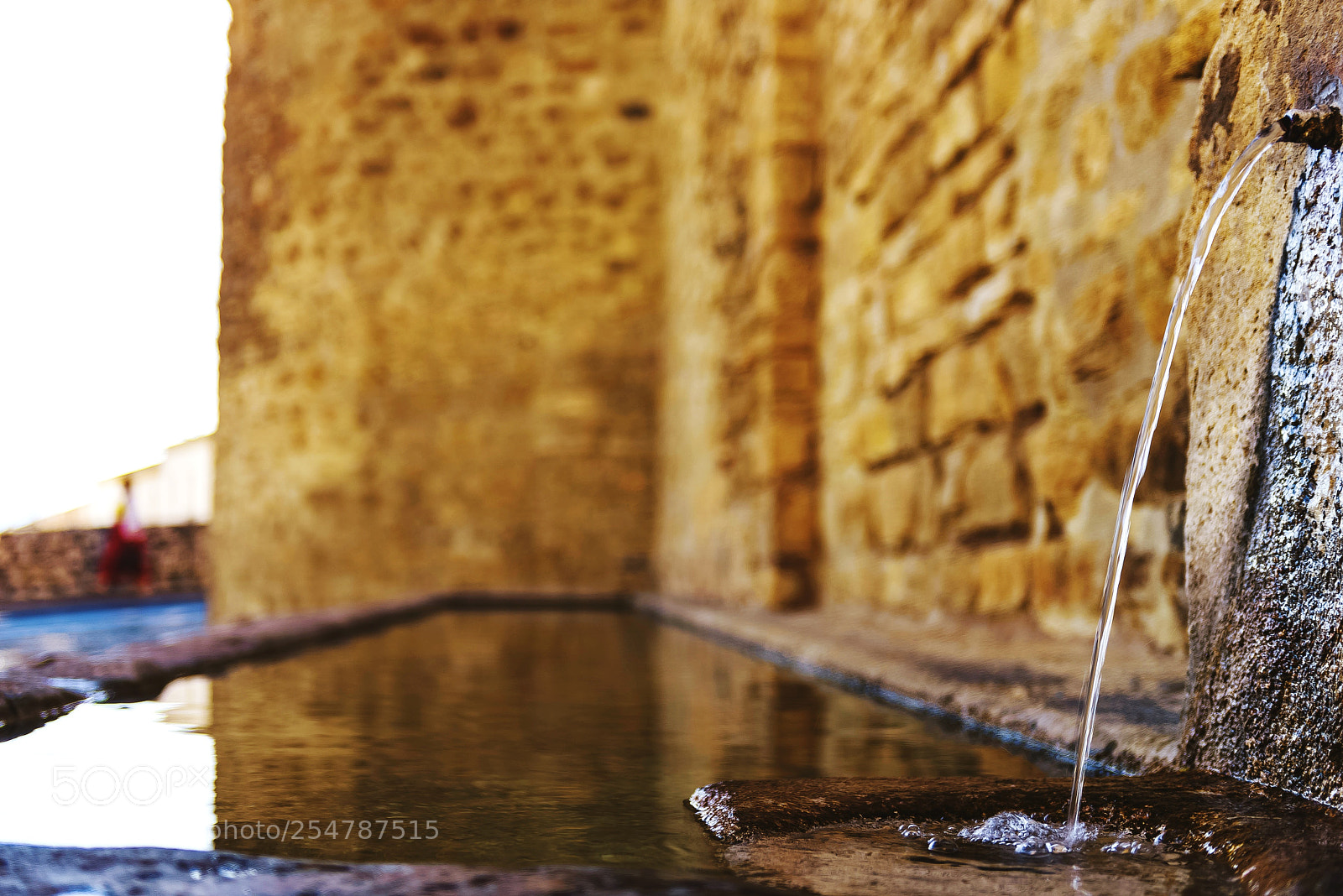 Nikon D810 sample photo. Old wall and water photography