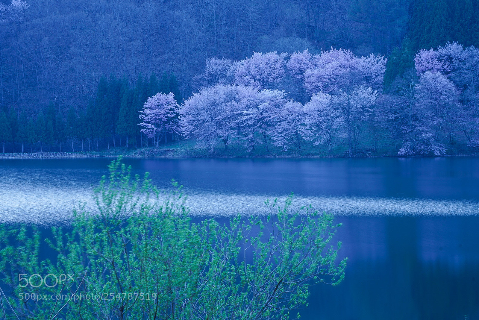 Sony a7R III sample photo. Silent lake photography