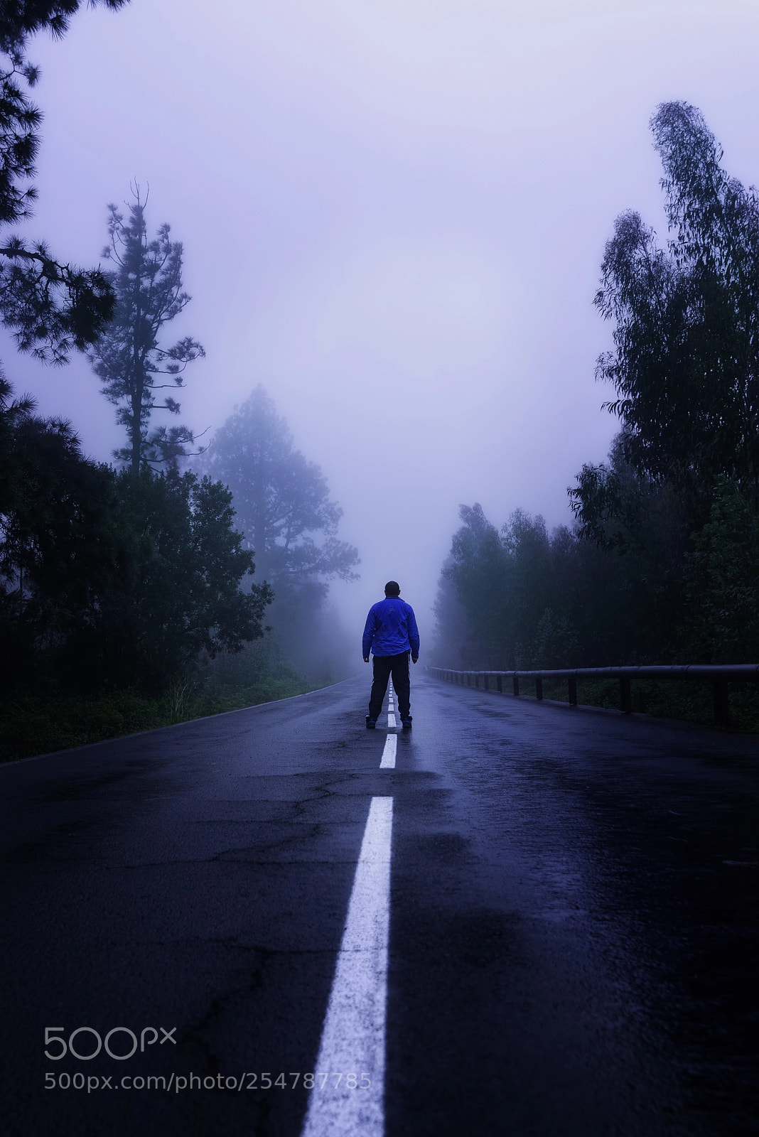 Nikon D610 sample photo. The solitude viii photography