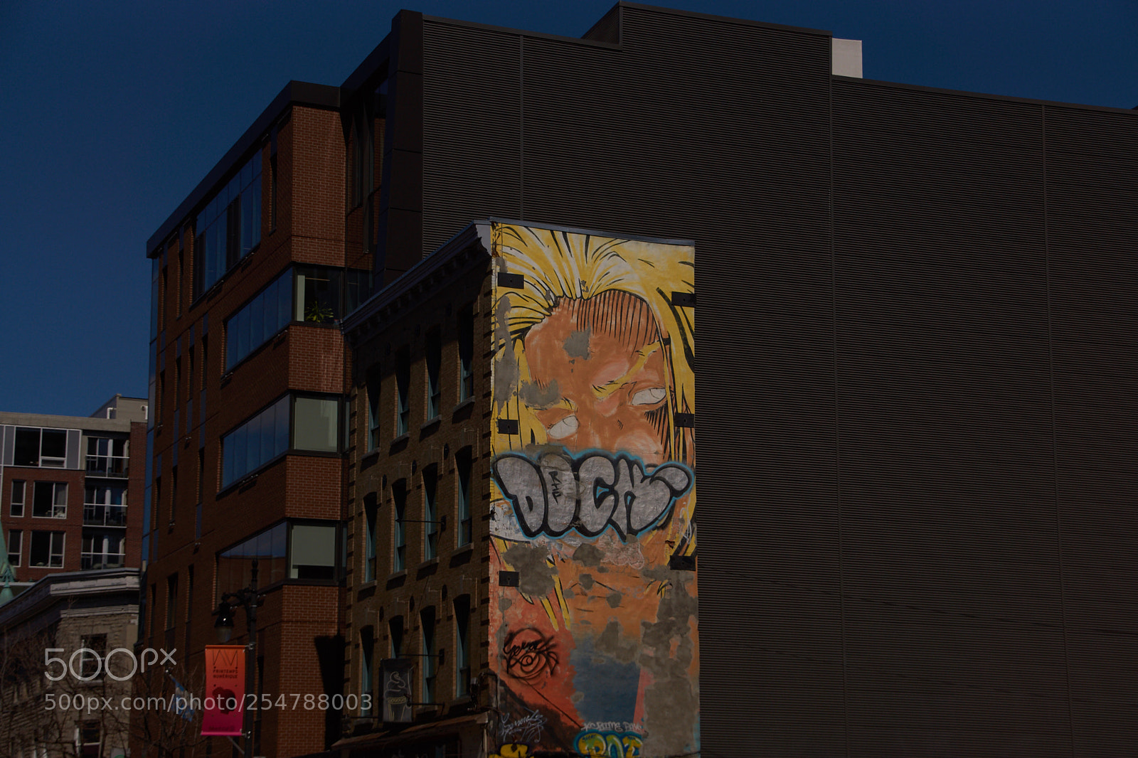 Sony SLT-A65 (SLT-A65V) sample photo. Graffiti in montreal photography
