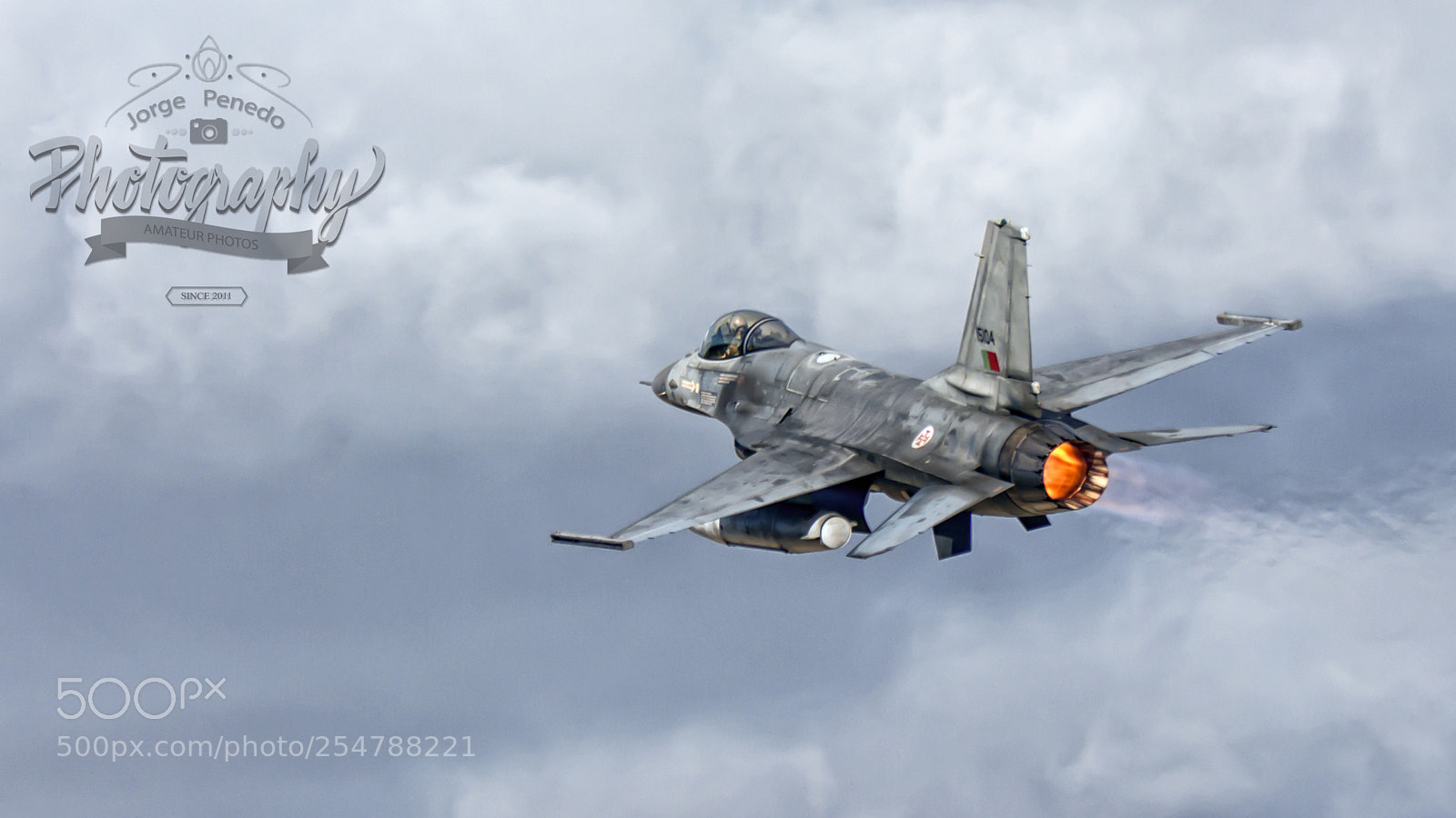 Sony Alpha DSLR-A390 sample photo. Flying photography