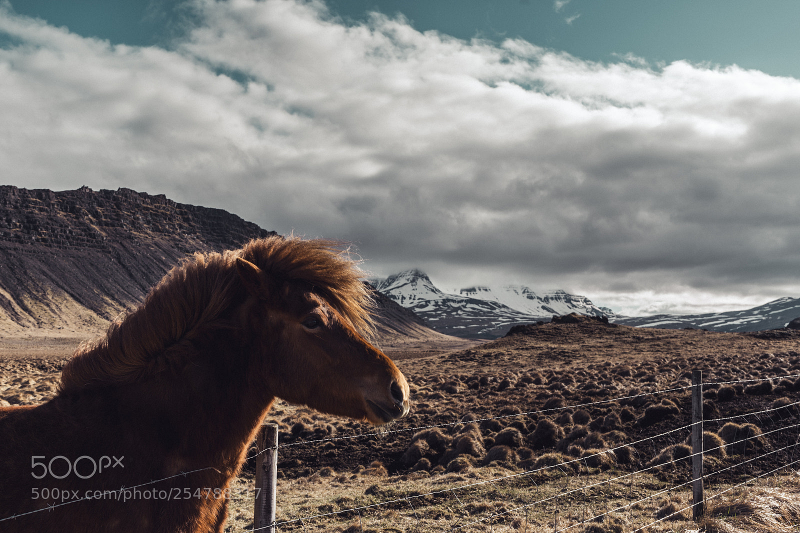 Sony a7 III sample photo. Icelandic landscape photography