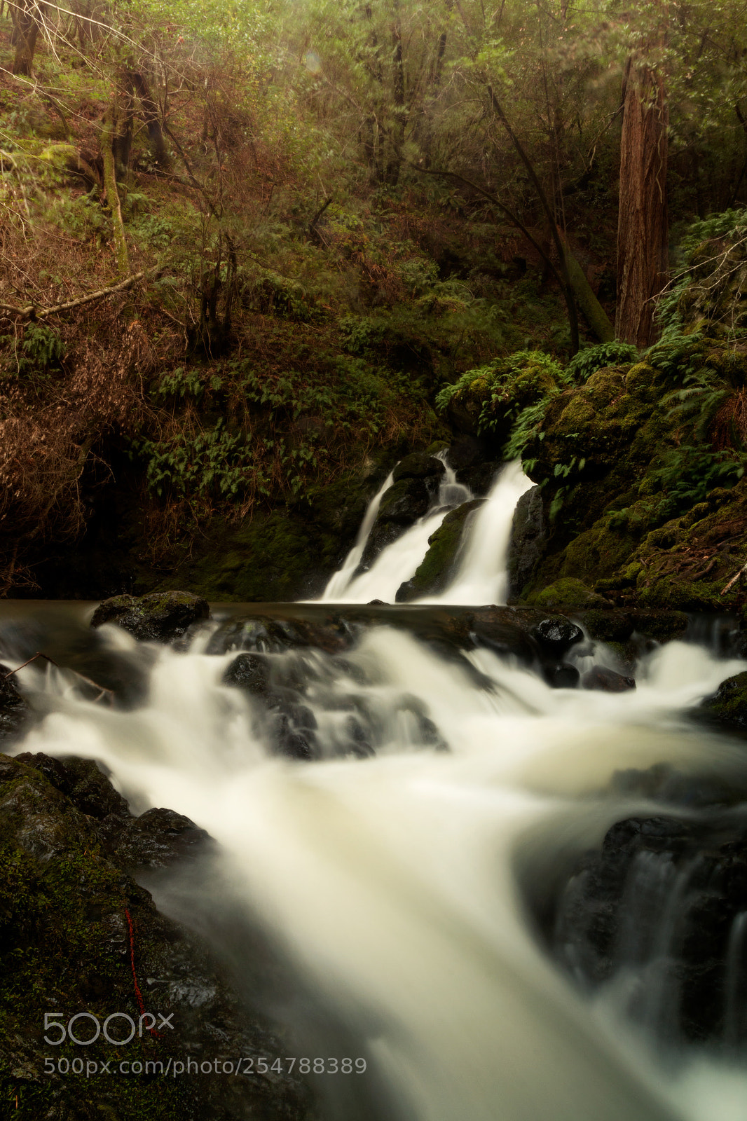 Canon EOS 70D sample photo. Cataract falls photography