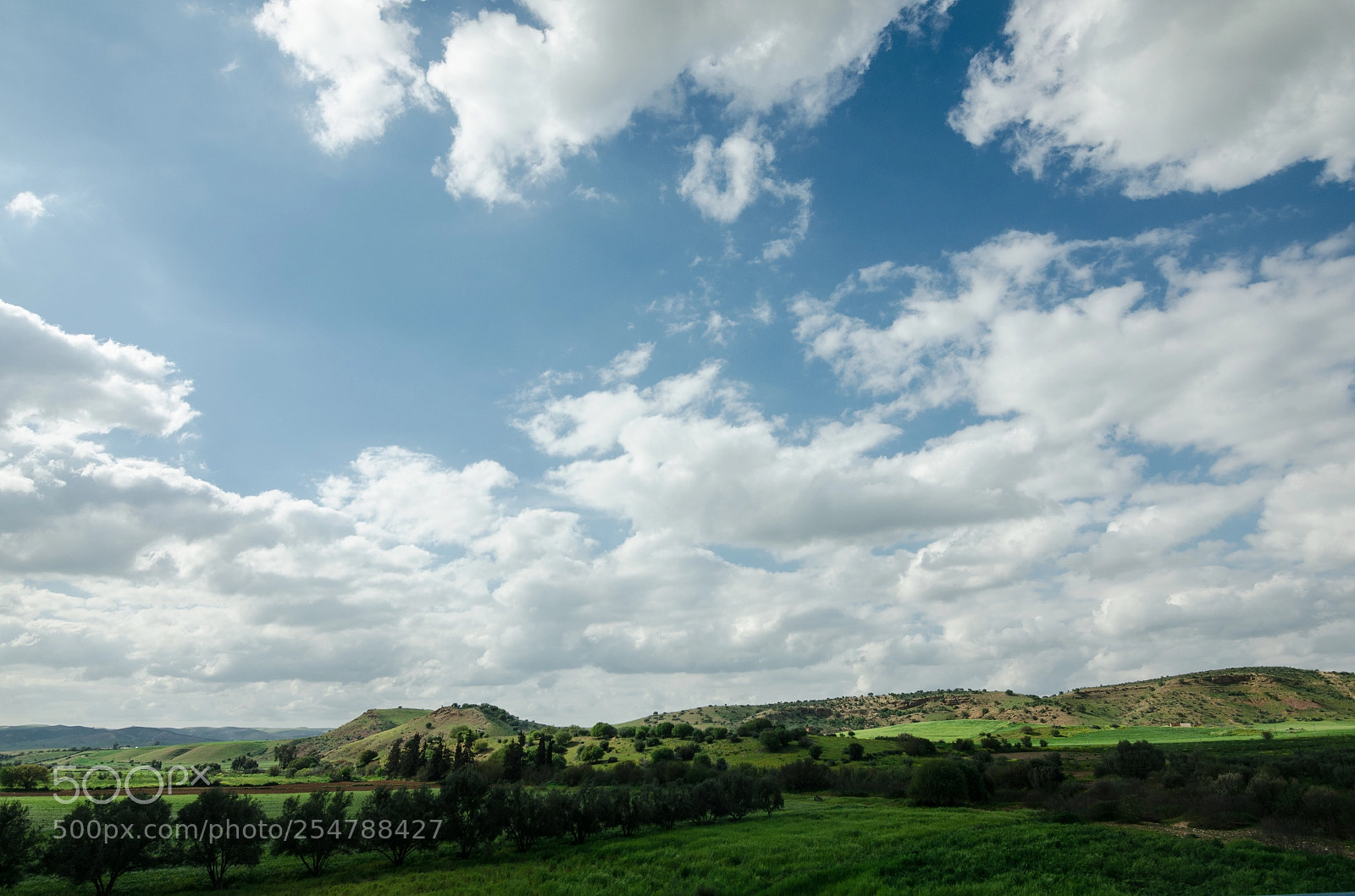 Nikon D7000 sample photo. Fields of morocco photography
