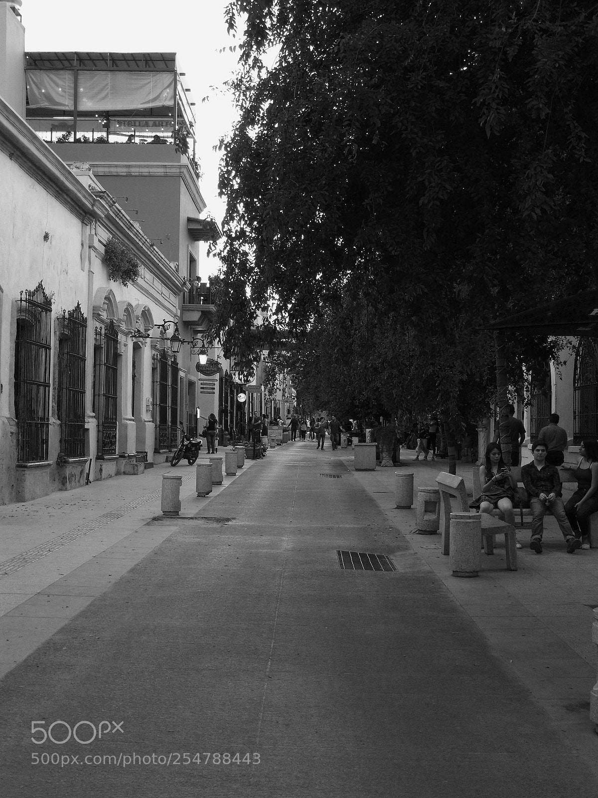 Nikon Coolpix P610 sample photo. Sunny afternoon photography