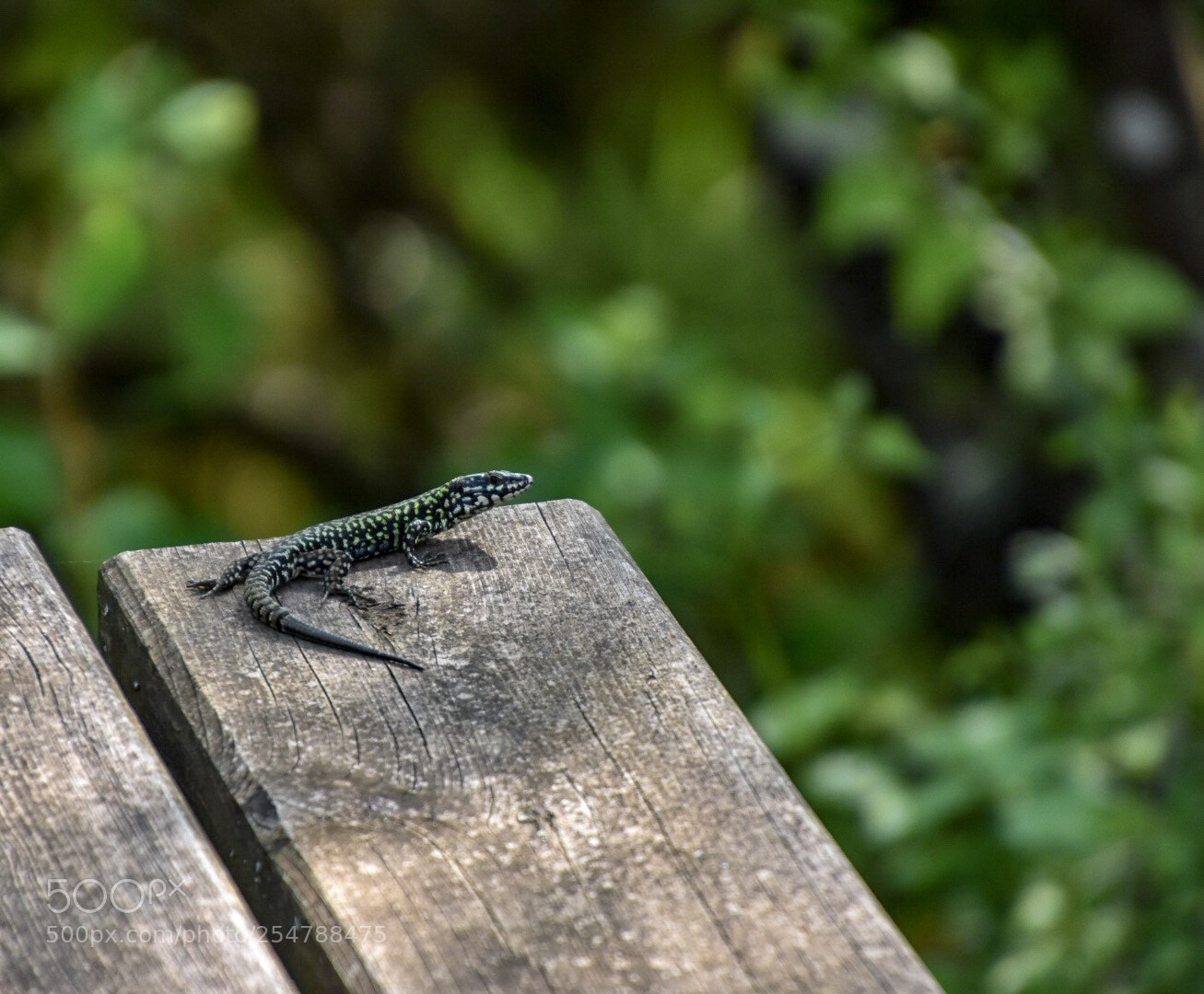 Nikon D3400 sample photo. Untitled photography