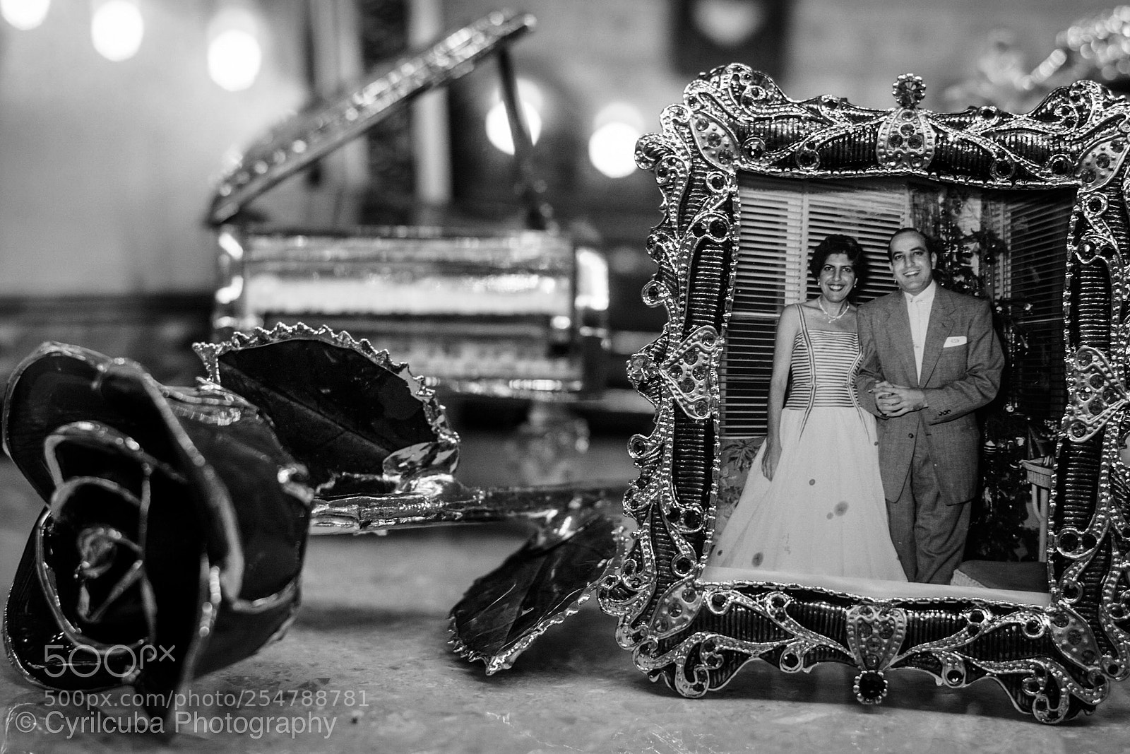 Nikon D5500 sample photo. Family memories  photography