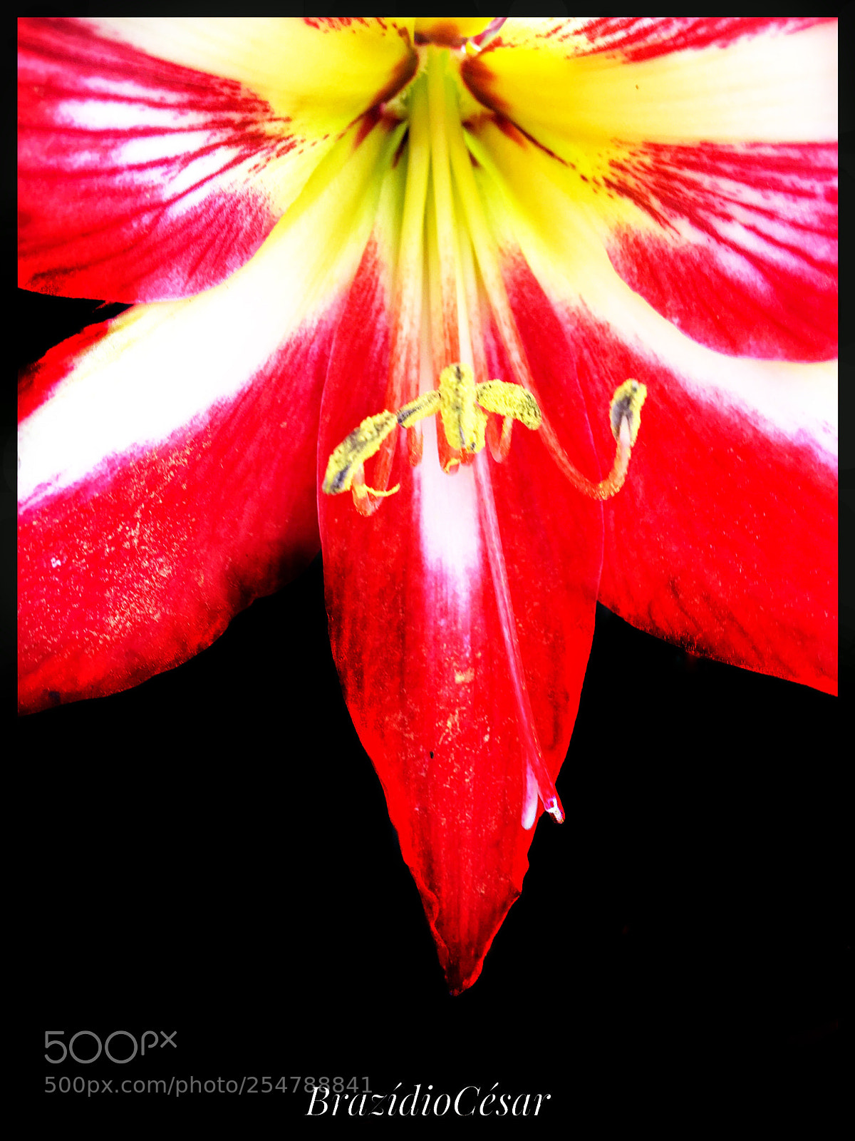 Apple iPhone 6s sample photo. Untitled photography
