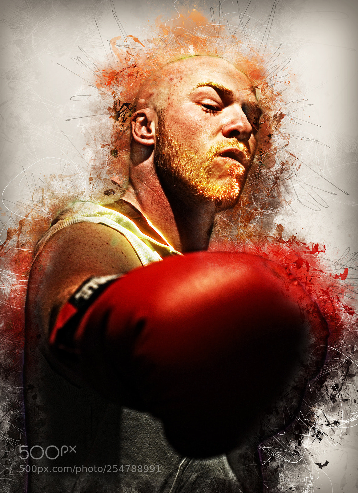 Nikon D200 sample photo. The punch photography