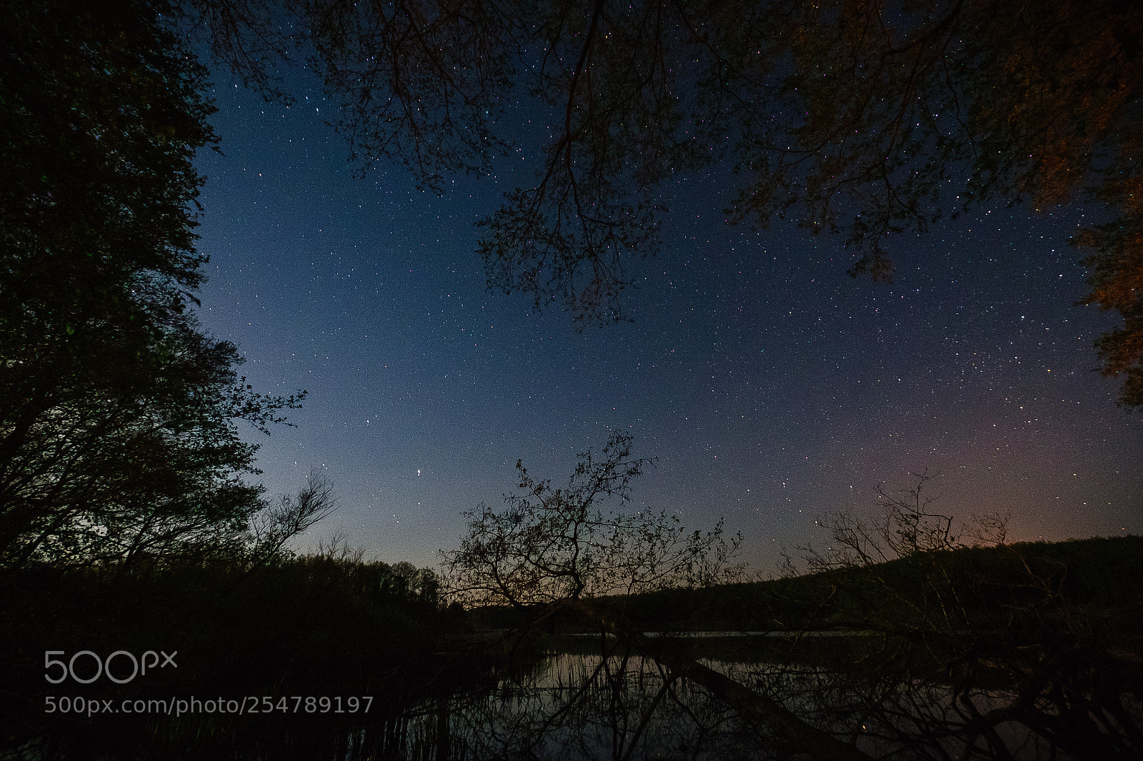 Fujifilm X-T1 sample photo. Stars photography
