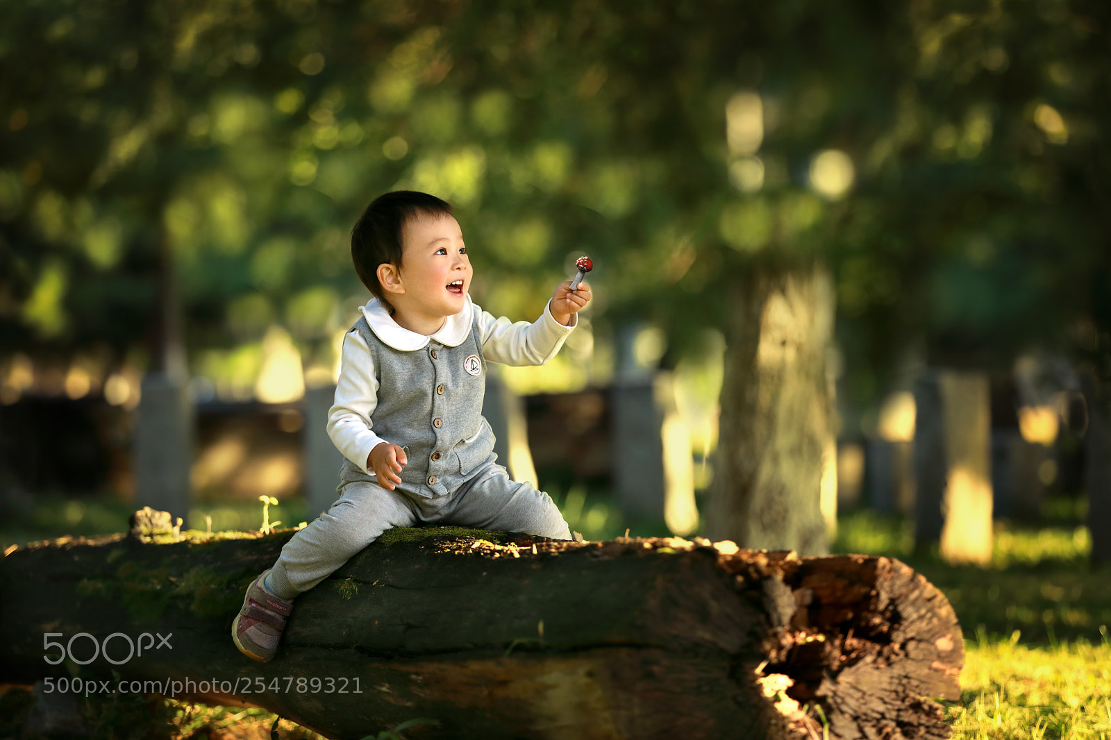 Canon EOS 5D Mark IV sample photo. 蘑菇 photography
