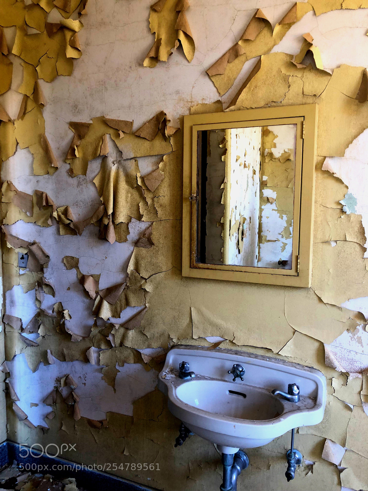 Apple iPhone 8 Plus sample photo. Abandoned asylum photography