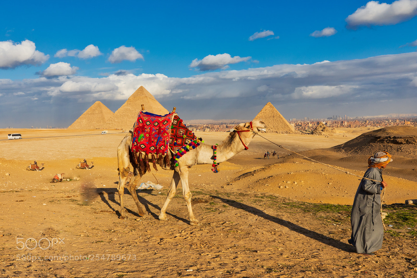 Canon EOS 5D Mark IV sample photo. Camel being pulled in photography