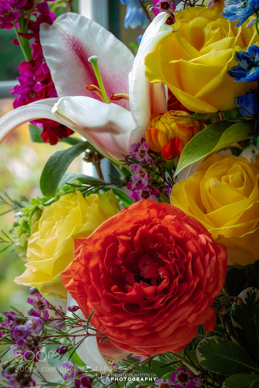 Canon EOS 5DS R sample photo. Flowers photography