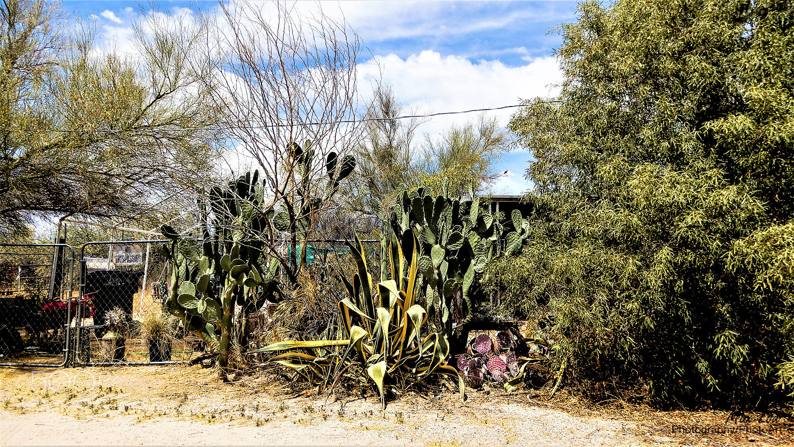Nikon Coolpix A900 sample photo. Arizona sunday april 2018 photography