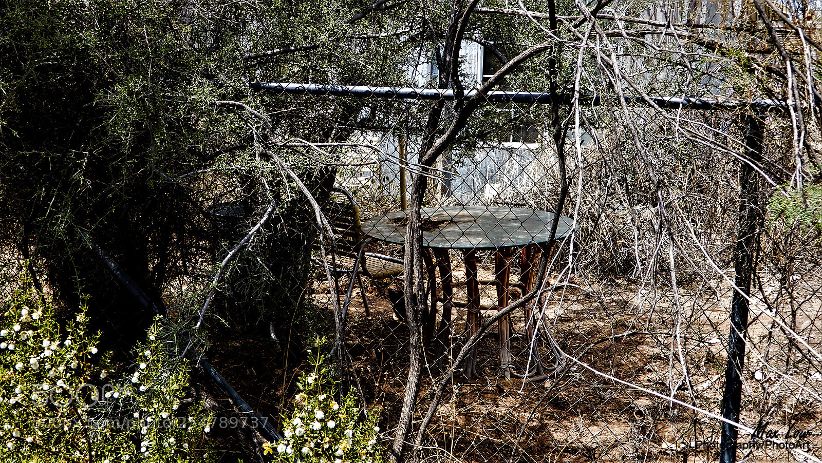Nikon Coolpix A900 sample photo. Arizona sunday april 2018 photography