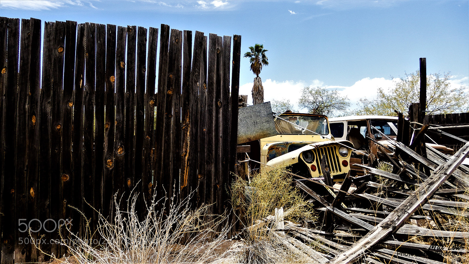 Nikon Coolpix A900 sample photo. Arizona sunday april 2018 photography