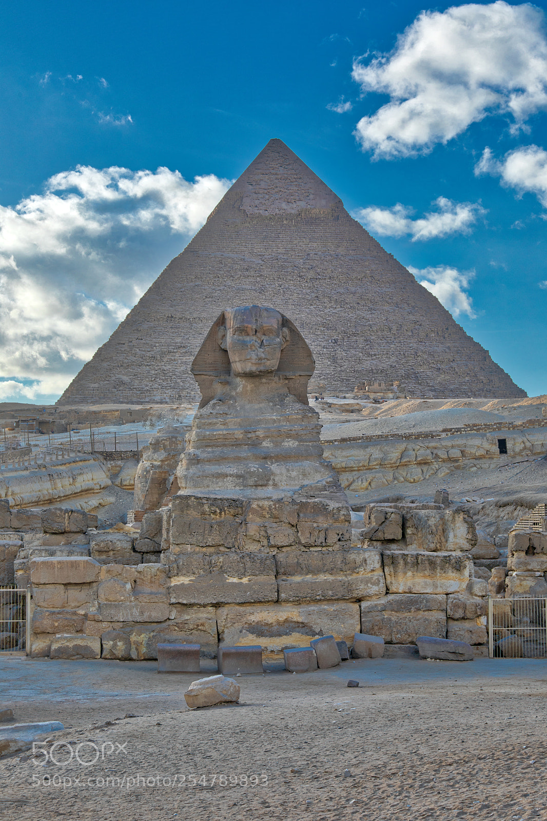 Canon EOS 5D Mark IV sample photo. The sphynx in front photography