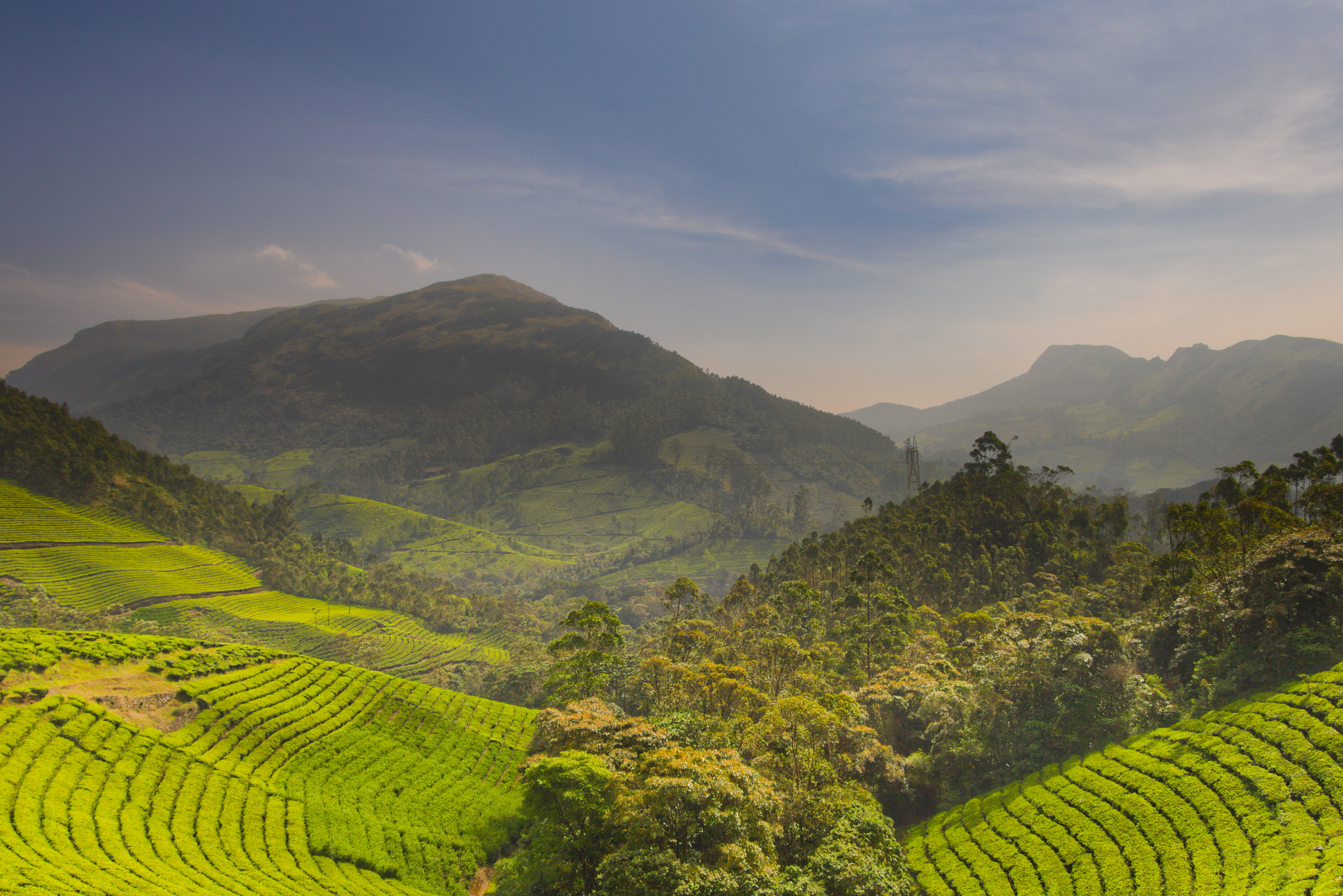 Canon EOS 750D (EOS Rebel T6i / EOS Kiss X8i) sample photo. Munnar teaestaes photography