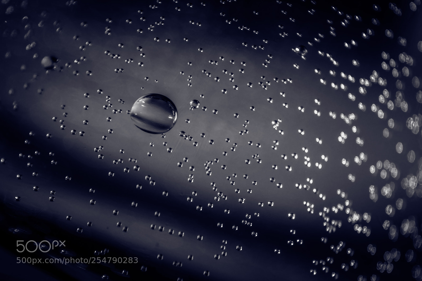 Nikon D5500 sample photo. Little universe in a photography