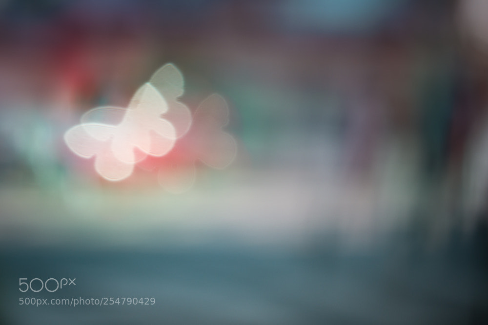 Olympus OM-D E-M10 II sample photo. Filtre bokeh creatif photography