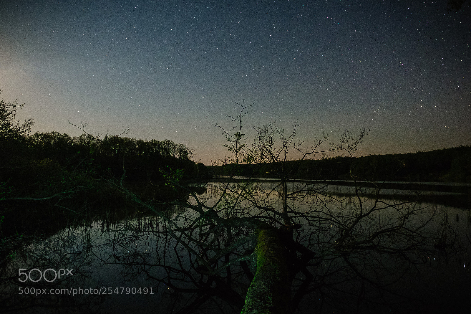 Fujifilm X-T1 sample photo. Stars - ii photography