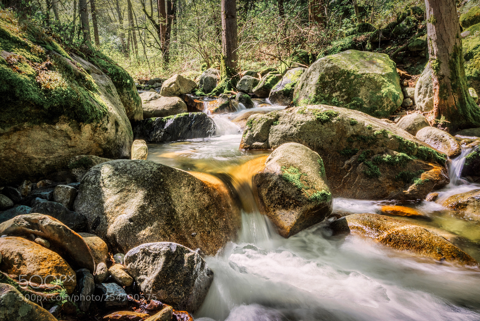Sony a6000 sample photo. Paradise creek photography