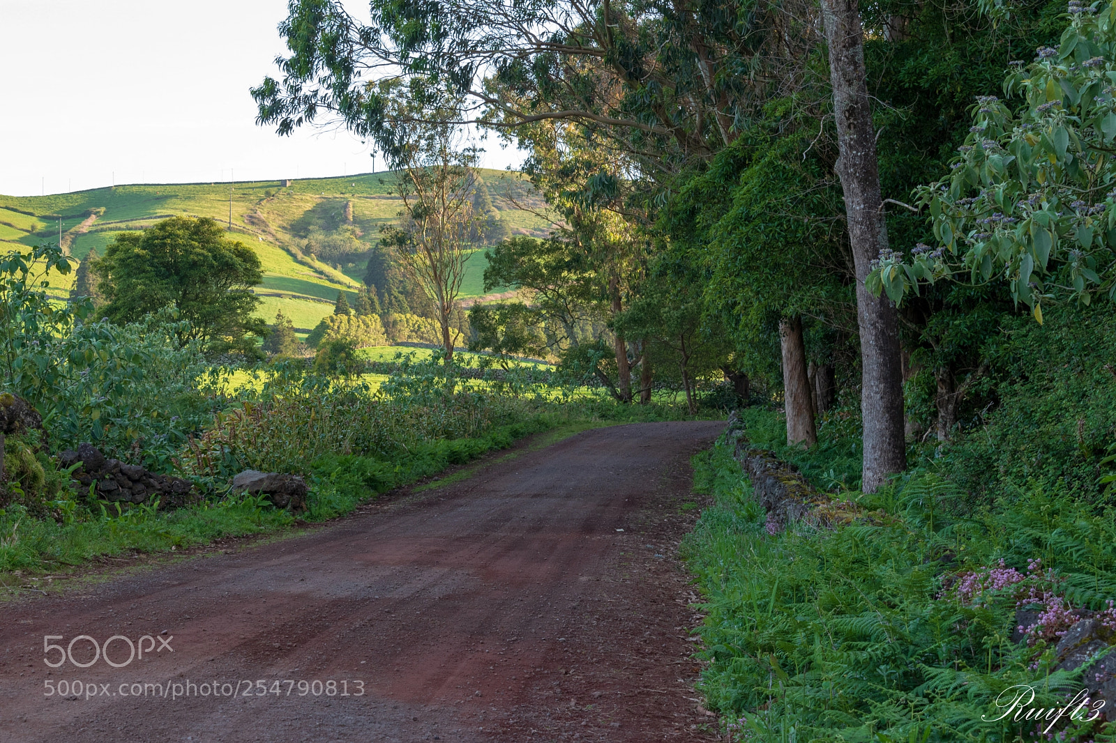 Nikon D5600 sample photo. O cume photography