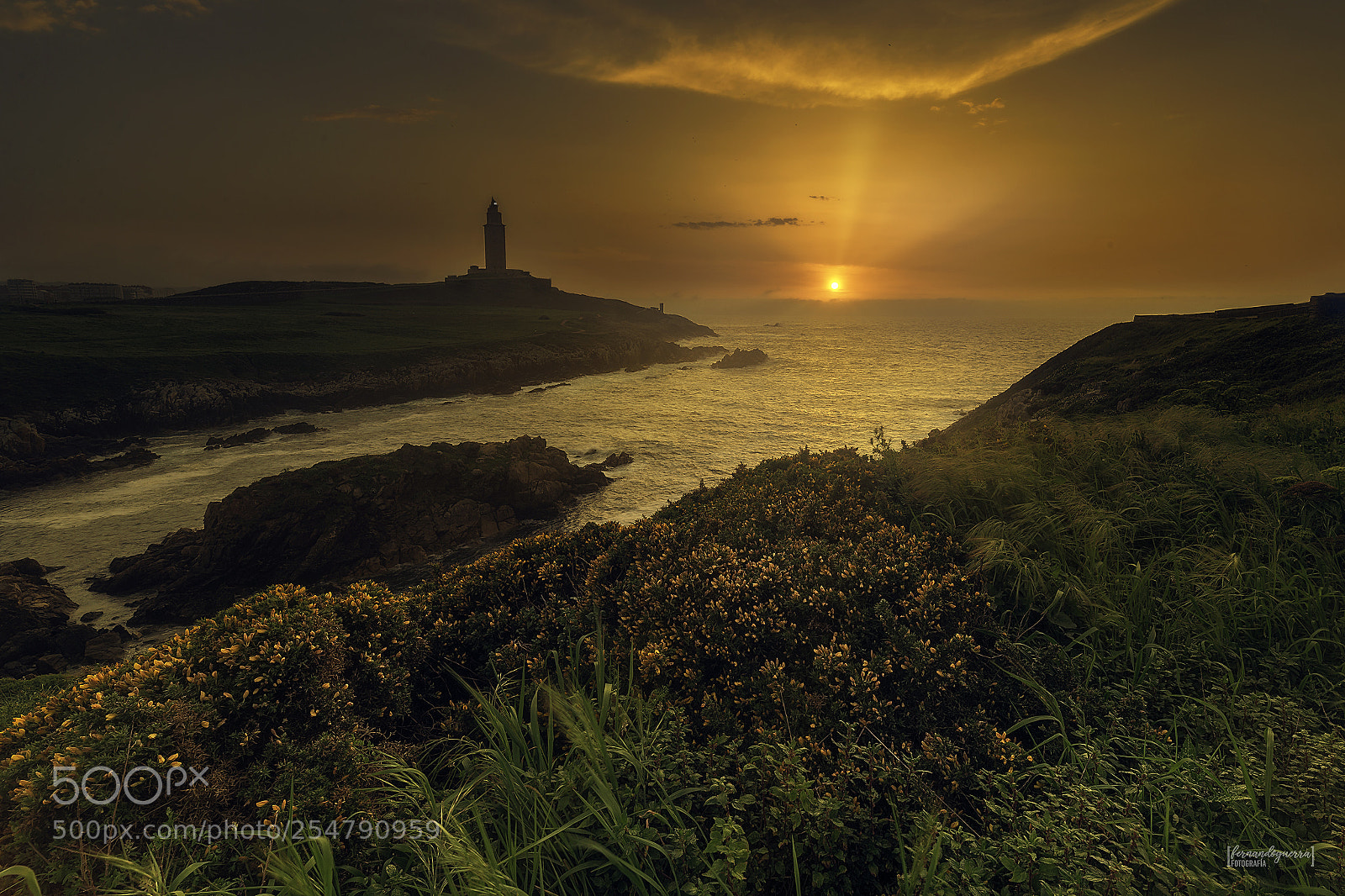 Nikon D610 sample photo. Punta herminia photography