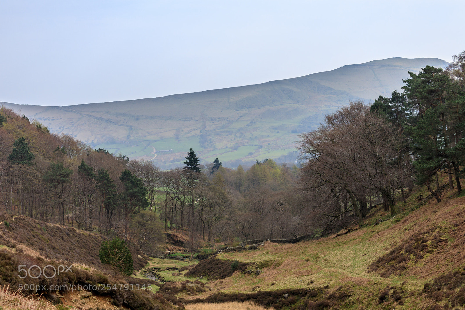 Canon EOS 5D Mark IV sample photo. Down in the valley photography