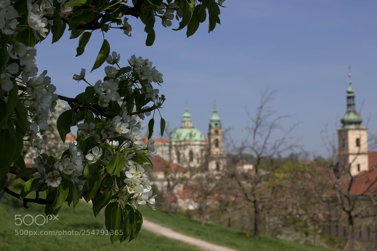 Canon EOS 600D (Rebel EOS T3i / EOS Kiss X5) sample photo. Durch den park spazieren... photography