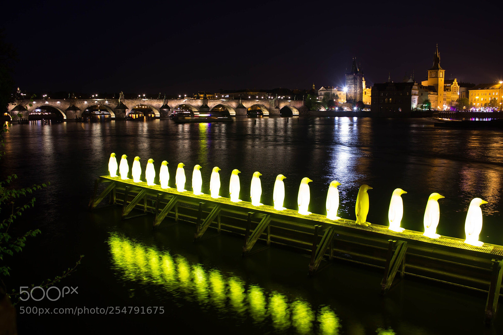 Canon EOS 600D (Rebel EOS T3i / EOS Kiss X5) sample photo. Pinguine in prag photography