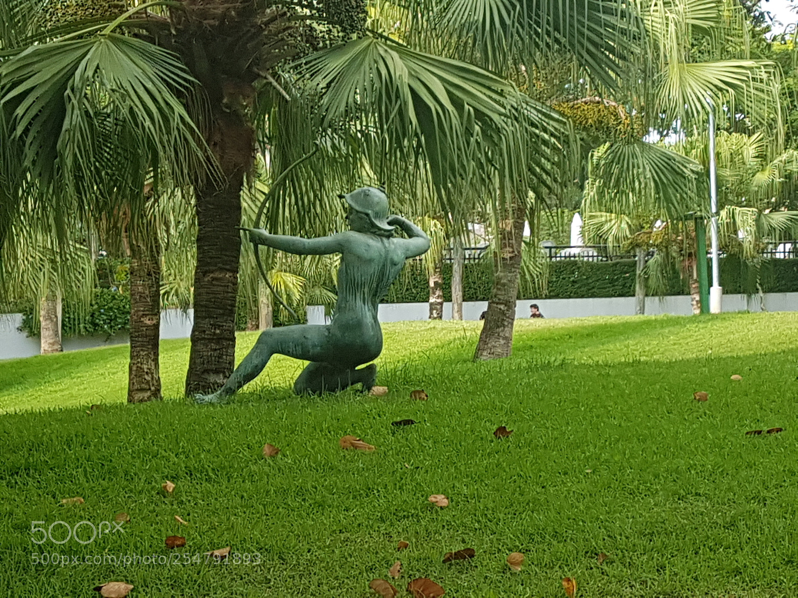 Samsung Galaxy S7 Edge sample photo. Untitled photography