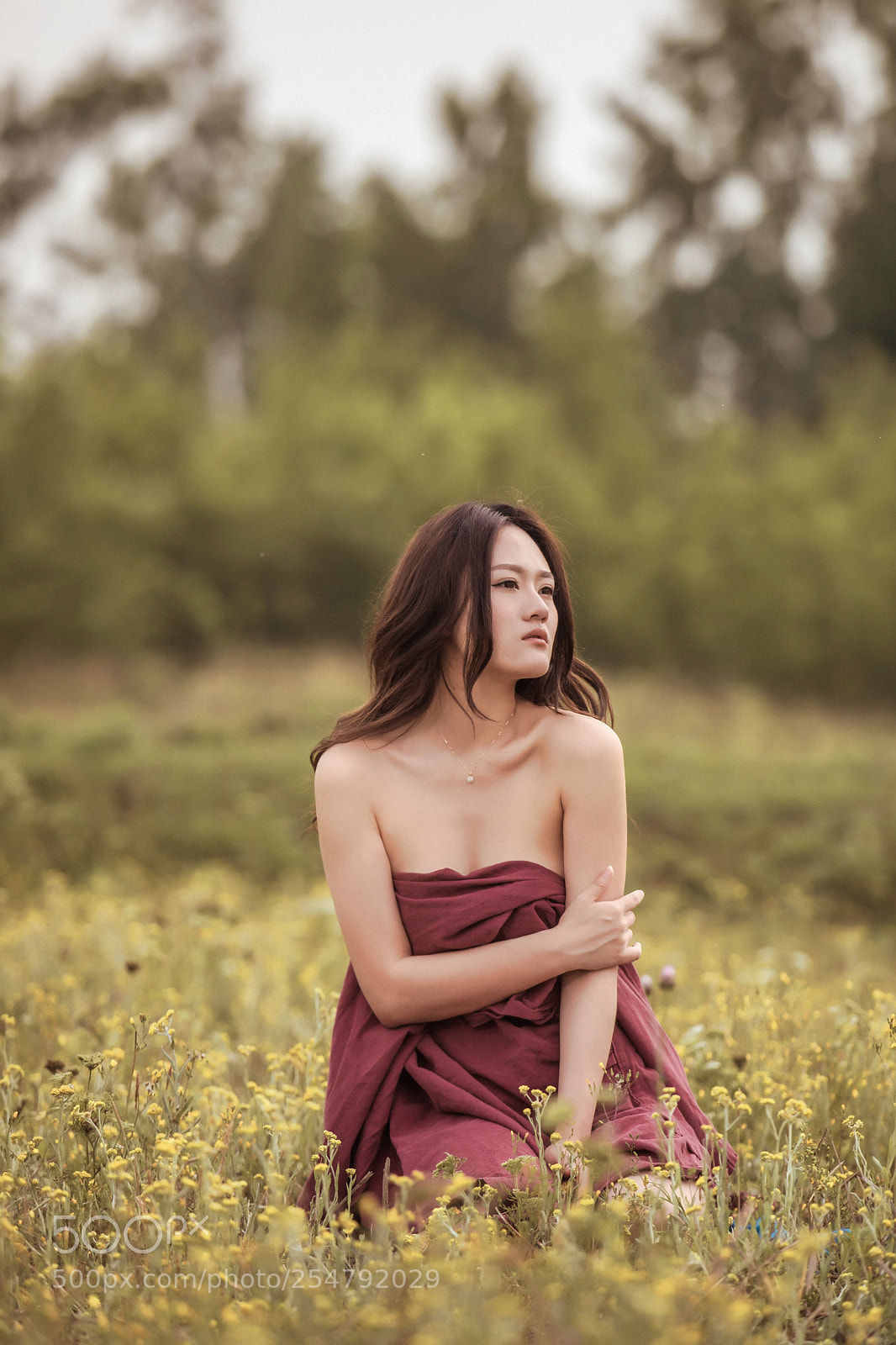 Canon EOS 5D Mark IV sample photo. 鲜花与少女 photography