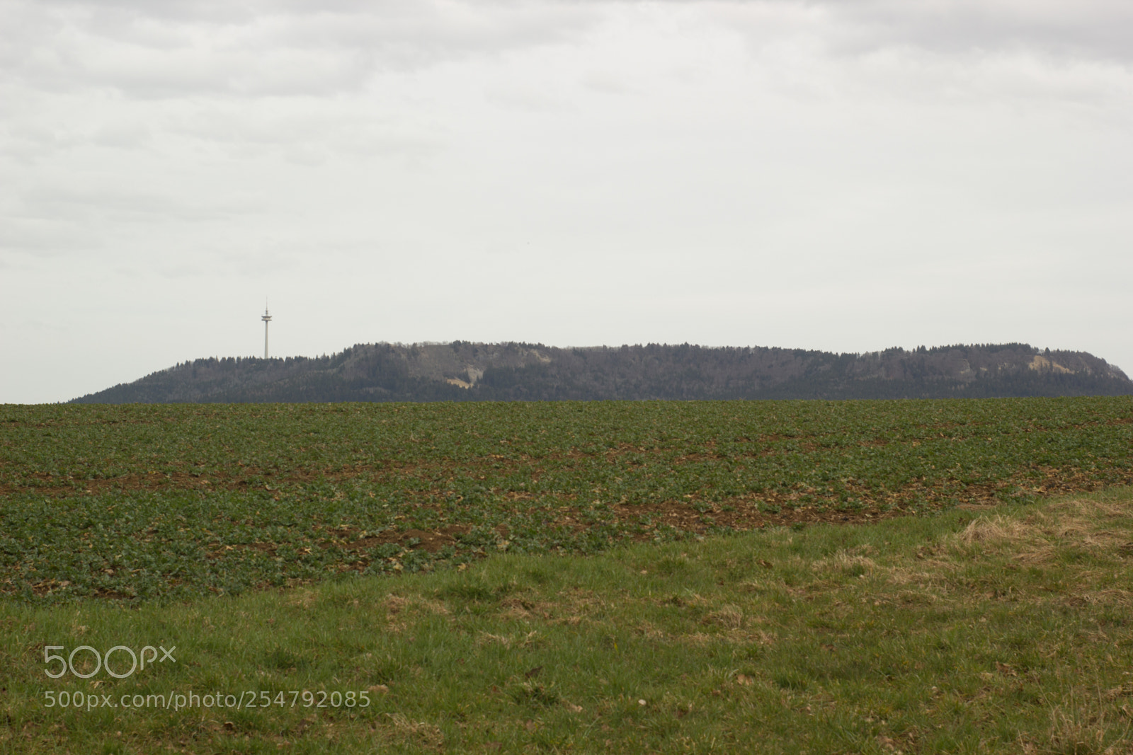 Canon EOS 550D (EOS Rebel T2i / EOS Kiss X4) sample photo. Beautiful landscape photography