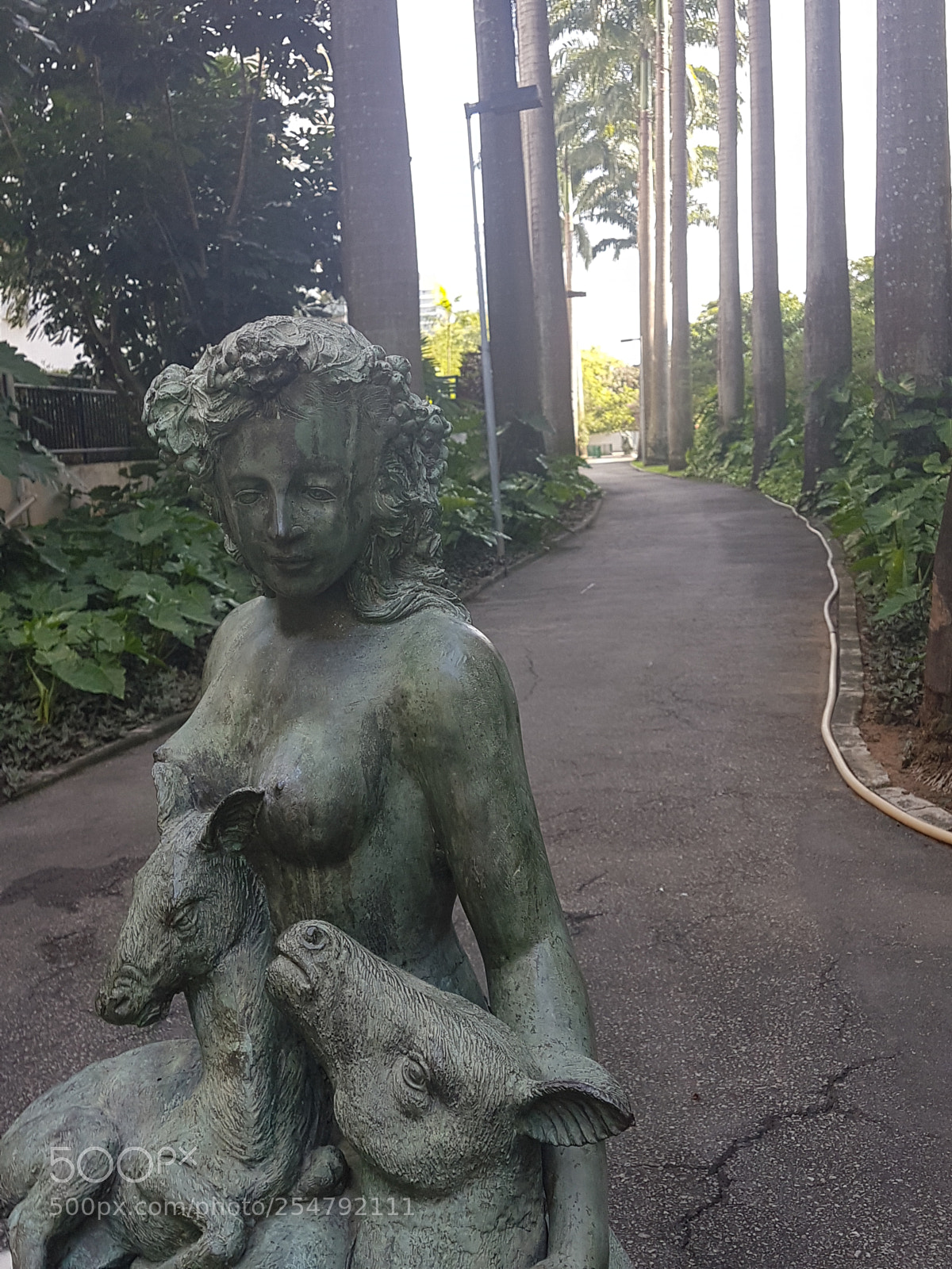 Samsung Galaxy S7 Edge sample photo. Untitled photography