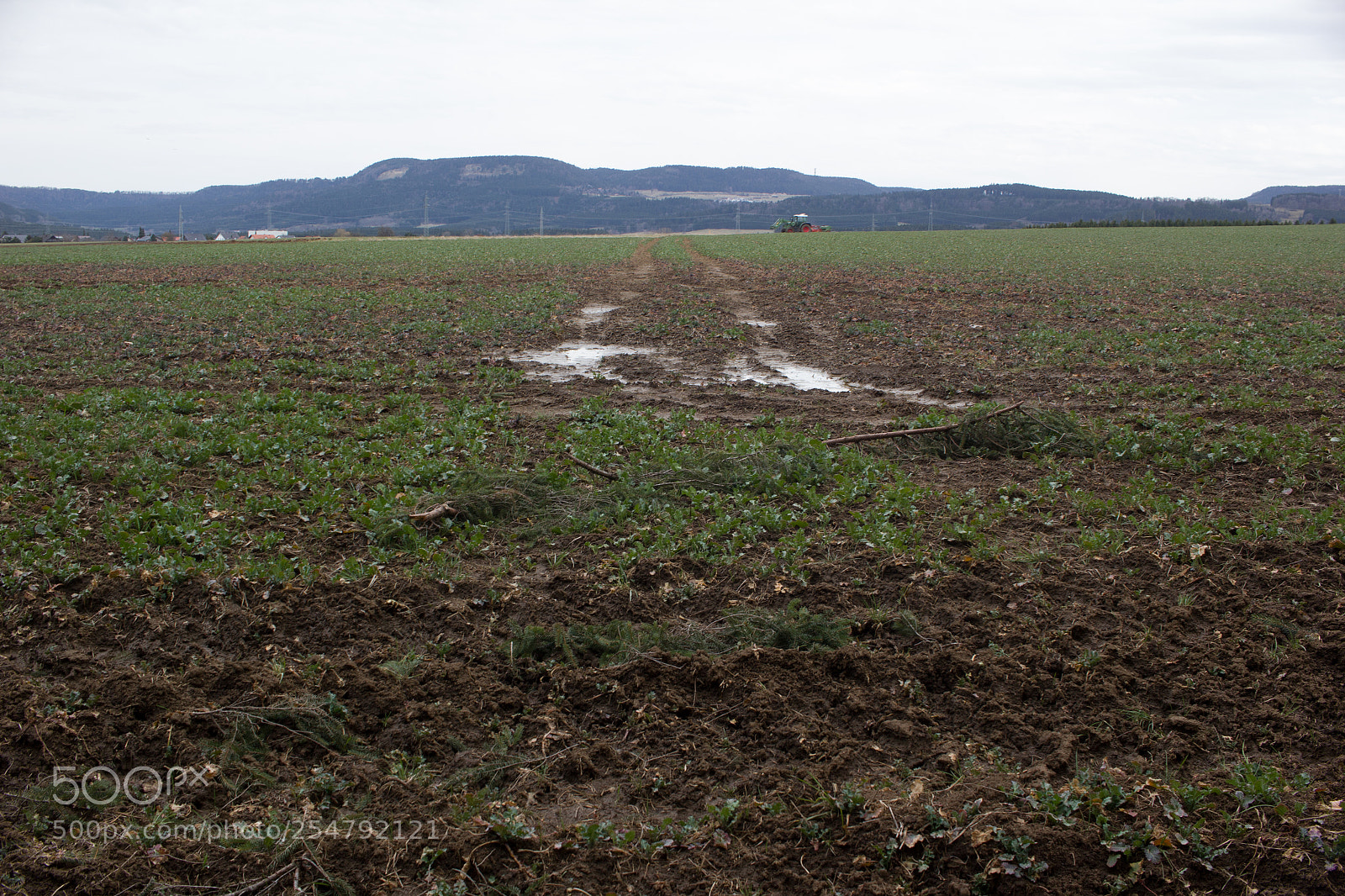 Canon EOS 550D (EOS Rebel T2i / EOS Kiss X4) sample photo. Countryside photography