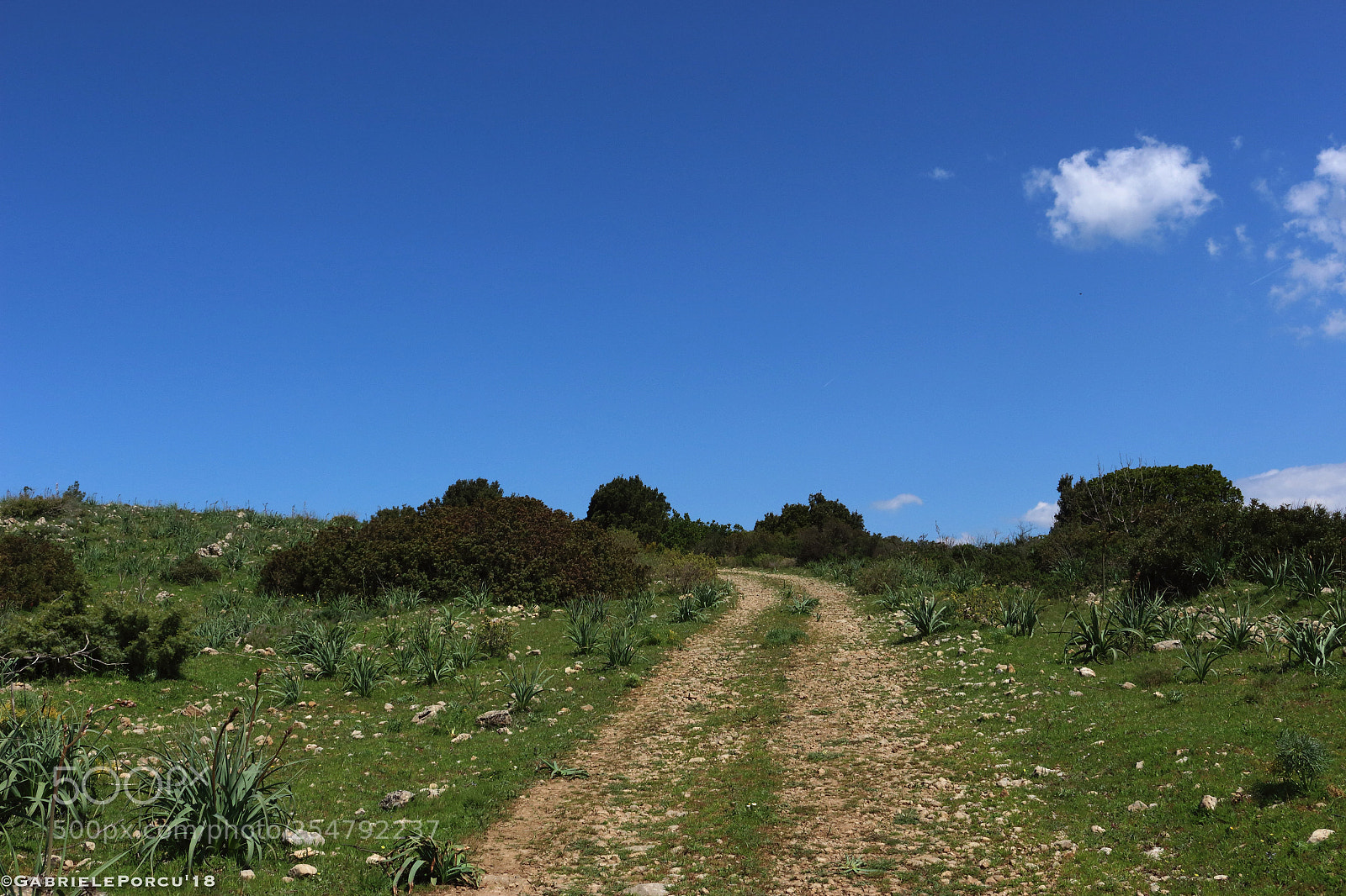 Canon EOS 100D (EOS Rebel SL1 / EOS Kiss X7) sample photo. Sardinian landscape photography