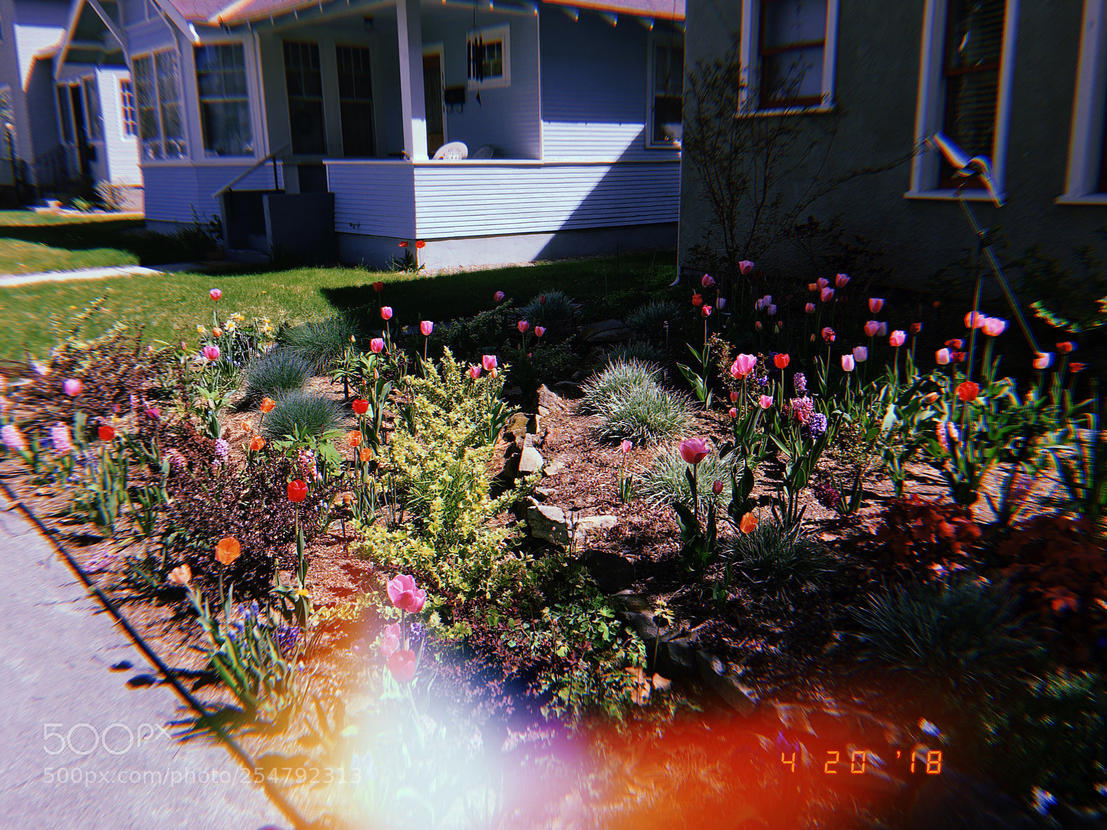 Apple iPhone 6s Plus sample photo. Huji? photography