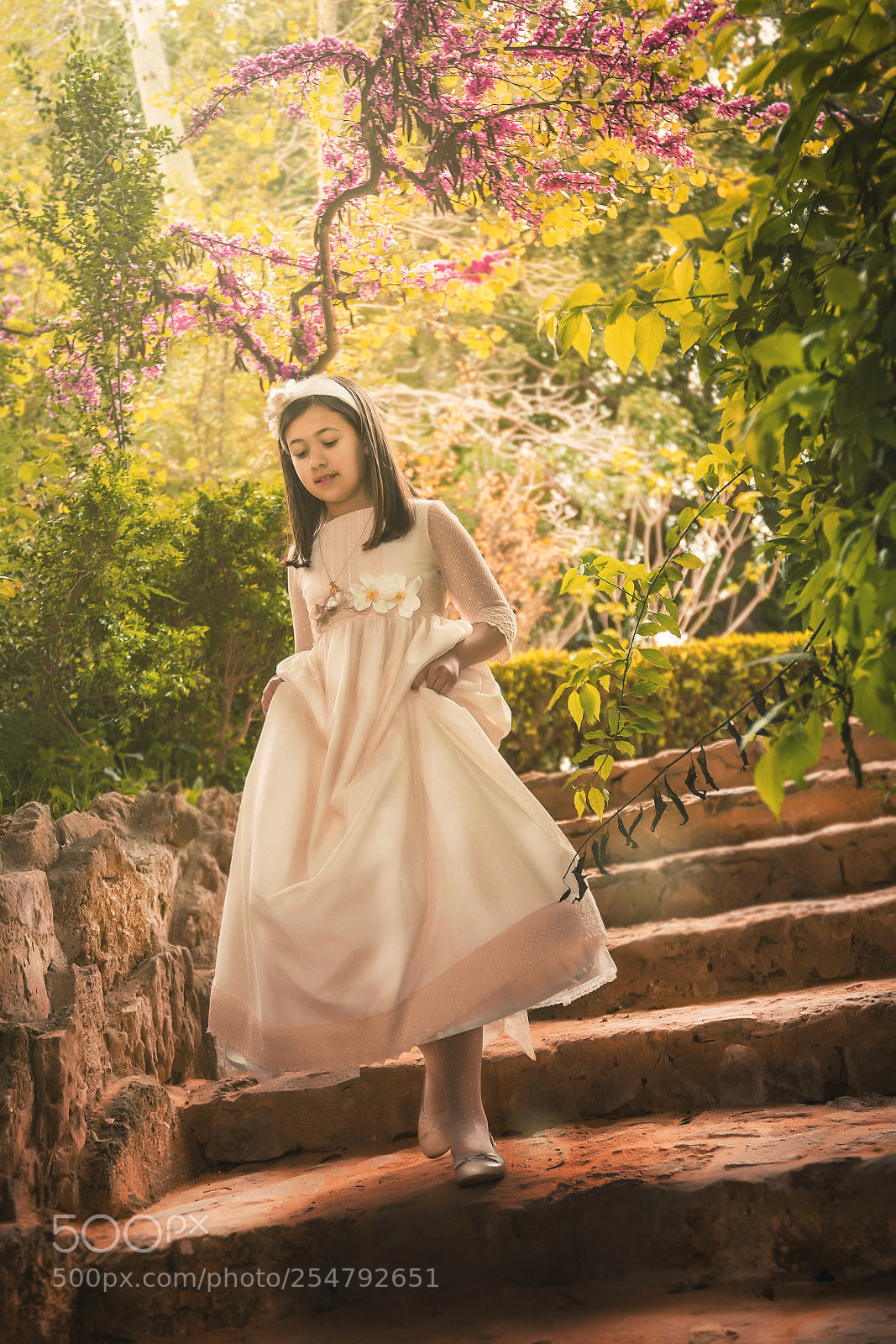 Canon EOS 70D sample photo. Looking the wonderland photography